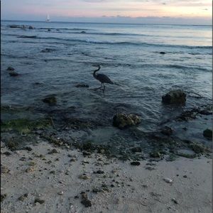 Meet your Posher, Jesse